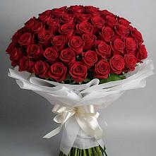 Букет 101 Красная роза Блэк Мэджик #REPLACE_PRED# Старочеркасской